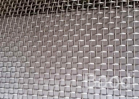 Maglie fine netta 1m x 30m, tela metallica dell'acciaio inossidabile dell'insetto tessuta termoresistente