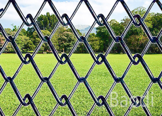 Pannelli del recinto di segretezza con il modello di foro del diamante, recinto di filo metallico del ciclone del giardino