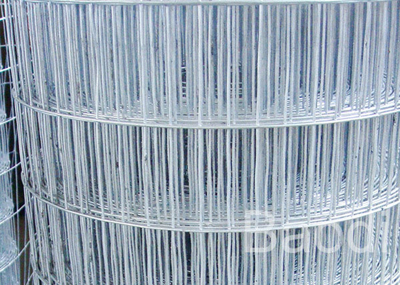 In rotolo lunghezza saldata galvanizzata del tessuto 30m dello schermo di cavo per costruire