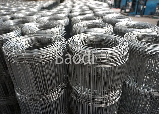 Recinto tessuto galvanizzato immerso caldo del campo, recinto di filo metallico delle pecore con la griglia rettangolare della maglia