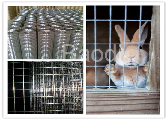 Panno d'acciaio galvanizzato dell'hardware saldato elettrotipia per il recinto dell'animale del coniglio