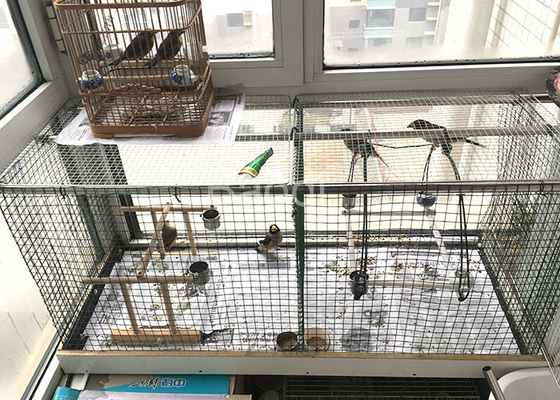 Colore verde scuro rivestito di 19 calibri del panno dell'hardware galvanizzato 2 maglie un poli