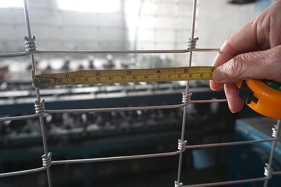 Pratiche agricole sostenibili Nodo quadrato Recinzione per praterie resistente alle intemperie con finitura non rivestita