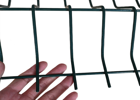 Recinzione per posta di recinzione PVC rivestito 3D rete di filo welded curvo Recinzione per cortile Diretto Metallo verde verde Ferro di giardino Recinzioni di sicurezza Recinzione