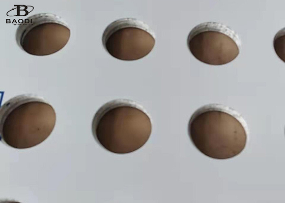 maglia metallica perforata di perforazione del piatto del filtro da 2m x da 1m